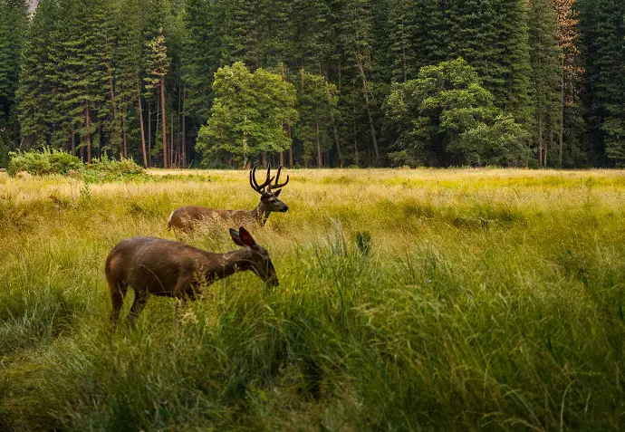 natural land conservation